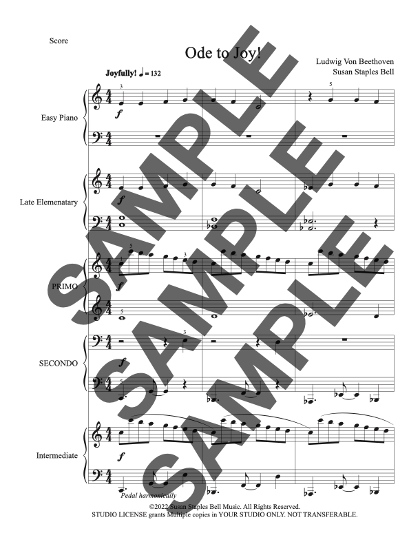 Ode to the Joy! Multi Level Ensemble - Image 2